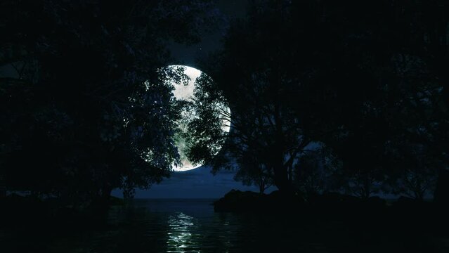 A nighttime forest on the water, illuminated by a bright moon. Cinematic landscape background