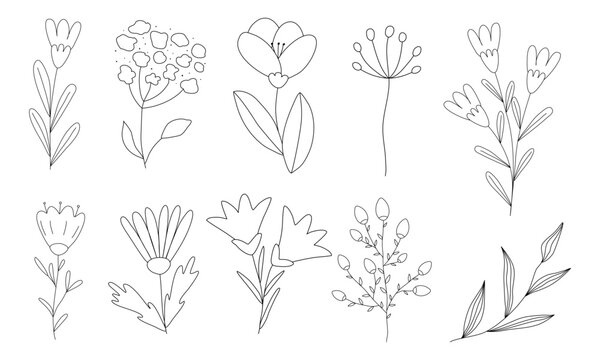 Set of different flowers and branches, doodle style flat vector outline for coloring book