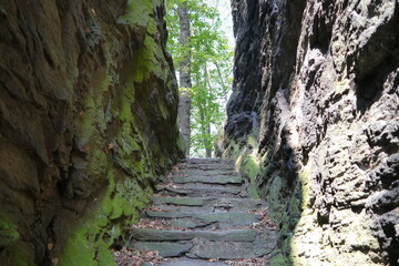 Wanderweg durch die Wolfsschlucht in Wolkenstein im Erzgebirge in Sachsen