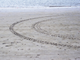 footprints in the sand on the beach.