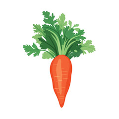Carrot fresh vegetable healthy food flat vector ill