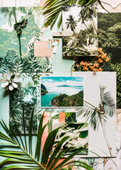 Collage of tropical Brazilian plants and flowers, snapshot style artwork with tropical vibes, perfect background for vacation or holiday design