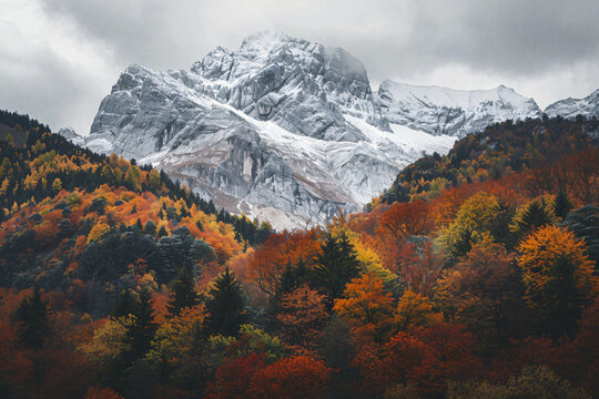Photo of the Alps with snow on top, a mountain range in Italy, trees and shrubs below, nature photography, autumn colors, high resolution, neutral sky background