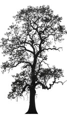 Obraz premium Silhouette of Tree