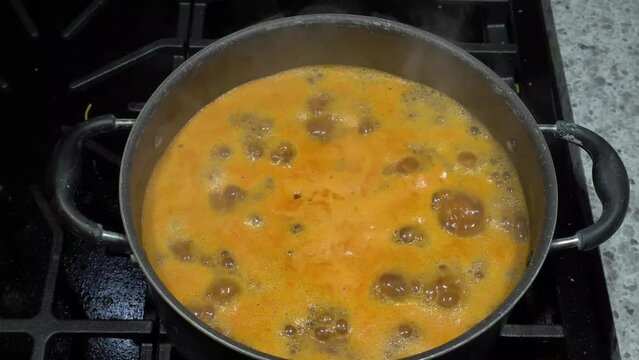 This is a video of a stew, boiling on a stove top.