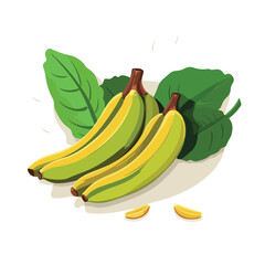 Plantain fresh vegetable healthy food flat vector i