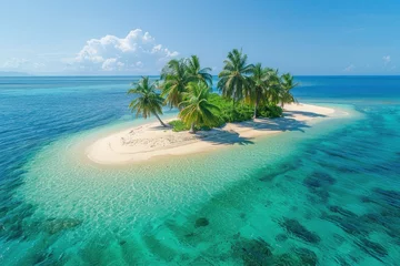 Fototapeten Aerial view of tropical island with sandy beach and palm trees © 2D_Jungle