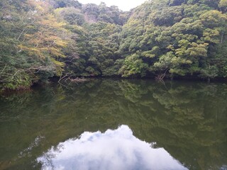 Fototapeta na wymiar 日本の古くからある濁った湖
