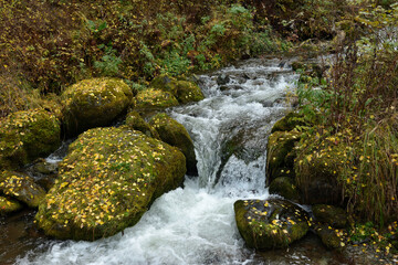 A small stream flows from the mountains along large moss-covered stones sprinkled with fallen leaves.