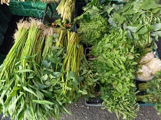 fresh vegetables in the market 