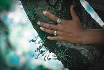 Hand on the tree, in the jungle, Guatemala