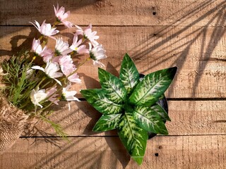 Flowers and plant on wooden table