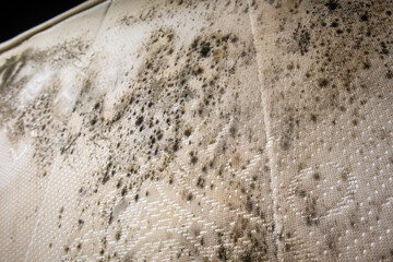 close up of danger black mold on bed sheet material