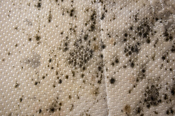 close up of danger black mold on bed sheet material