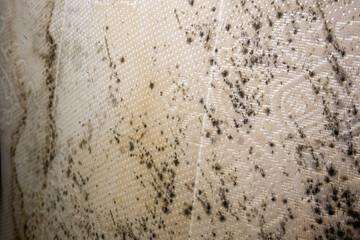 close up of danger black mold on bed sheet material