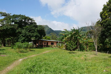 Fototapeta na wymiar Wiese in El Valle de Antón in Panama