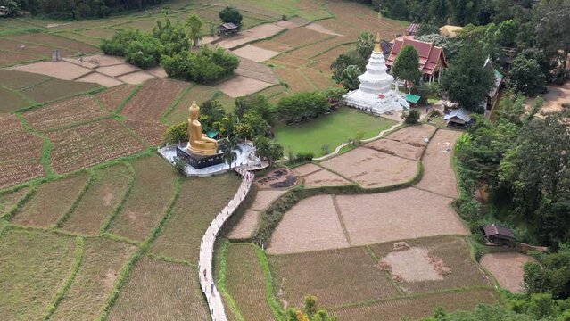 Top view of a bamboo bridge to white pagoda and Phra Chao Ton Luang a large outdoor golden Buddha statue. Sitting in the middle of a rice field at Wat Nakhuha there are beautiful natural places. 