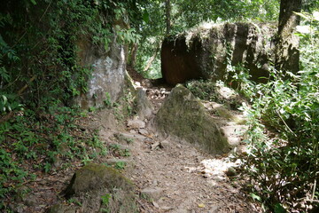 Wanderweg durch Regenwald in  El Valle de Antón in Panama