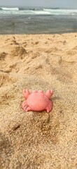 A pink plastic crab is lying on the beach, there is sand everywhere and it looks really cute