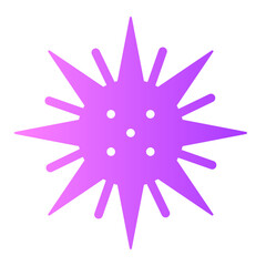 Fototapeta premium sea urchin