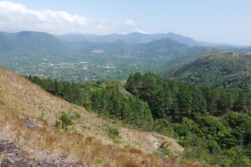 Fototapeta na wymiar Kiefernwald in den Bergen vonEl Valle de Antón in Panama
