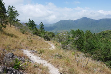 Wanderweg durch Kiefernwald in den Bergen von El Valle de Antón in der Caldera in den tropischen Bergen in Panama