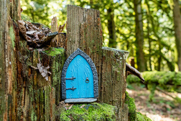 small blue door made of polymer clay on in nature like a fairy house close up