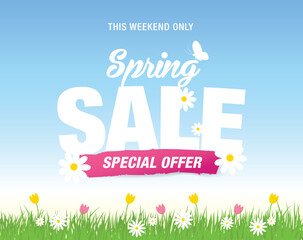 spring sale banner layout template design, vector illustration