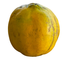 Whole Ripe Papaya