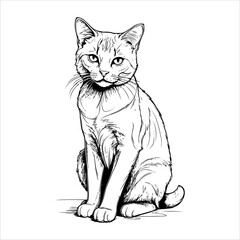 A simple black and white sketch of a cat's entire body.