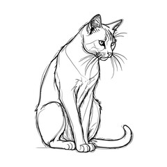 A black and white illustration of a cat's entire body in line art style.
