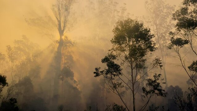 Heavy smoke, dust and thick smoke  from bushfire on windy day on drought season, Australia.	