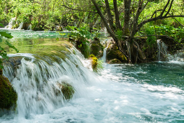 Pond and waterfall surrounded by natural bush in Croatia
