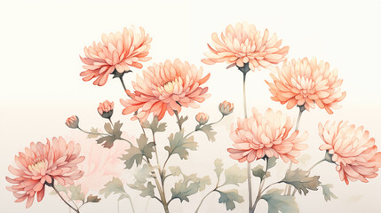 Hand drawn beautiful chrysanthemum watercolor illustration - obrazy, fototapety, plakaty