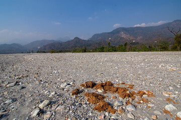 Elephant dung on beautiful Jayanti river bed inside Buxa Tiger Reserve, India.
