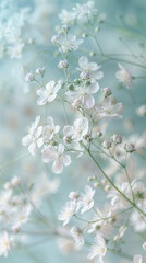 Delicate vertical background with cherry blossoms, web wallpaper