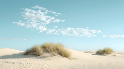 Apply a vintage film-inspired aesthetic to capture sand dune drifts, evoking a timeless and nostalgic quality