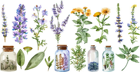 Artisanal Watercolor Herbs and Botanicals with Vintage Glass Jars - obrazy, fototapety, plakaty