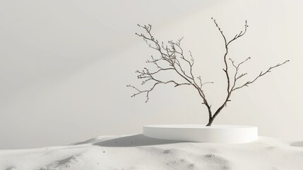 Minimal mockup background for product presentation material. Podium with dry tree branches on white sand beach. Ai generated