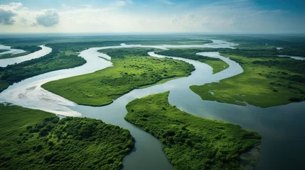 Foto op Plexiglas aerial view of a river delta with lush green vegetation and winding waterways © Usman