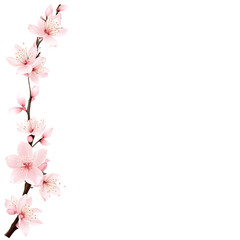 Fototapeta na wymiar Delicate and elegant border design inspired by Japanese cherry blossoms (sakura) Transparent Background Images