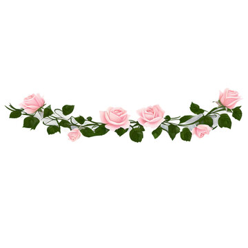 Romantic rose vine border with delicate petals Transparent Background Images 