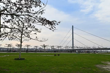 oberkasseler beücke über rhein in düsseldorf © Eduard Shelesnjak