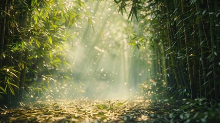 Sunlight Filtering Through Bamboo Forest