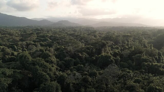 Sunset drone clip in San Blas islands jungle (Panama).