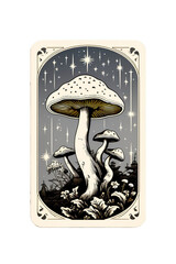 Poisonous mushrooms on the tarot card. Fortune telling and spiritualism concept