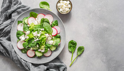spinach salad. top view of spinach salad with fresh green vegetable salad with radish, cucumber topped with cottage cheese on grey plate and copy space.
