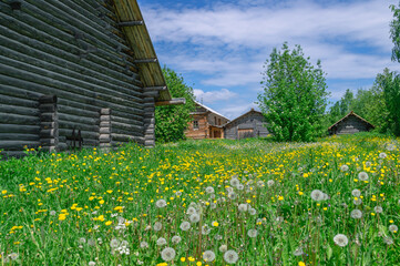 Obraz premium An old house in the village made of dark logs with a wooden roof.Dandelions in front of the house made of logs.Wooden old manor house of the 19th century. Rustic landscape in the summer in the village
