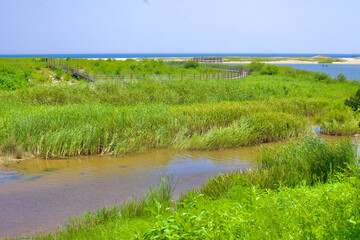 Fototapeta na wymiar Marshland Stream and Bike Path Near Bukcheon Railroad Bridge