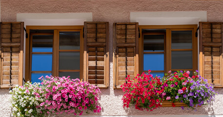 Fototapeta na wymiar Traditional flowered window at the Alps and Dolomites. Colorful flowers of a windows of a traditional house. Summer time. Mix of flowers and colors. General contest of the European Alps